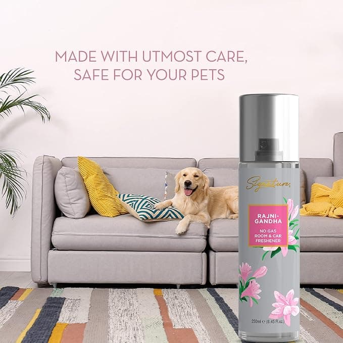 Simple Signature Rajnigandha Air Freshener Spray 250ML | Floral Home Fragrance | Long Lasting Room & Car Freshener | No Gas… — thumbnail 5 of 5