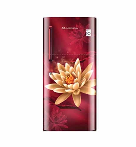 CG - Meridia 182 Liter Single Door Refrigerator - CGMRS202RL