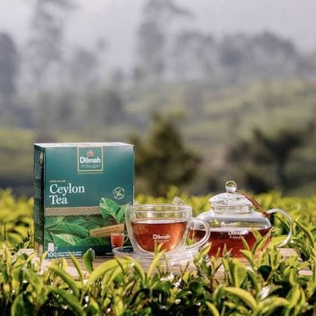 Dilmah Dilmah Premium Ceylon Tea – 100 Tea Bags daily essentials & lifestyle — thumbnail 4 of 5