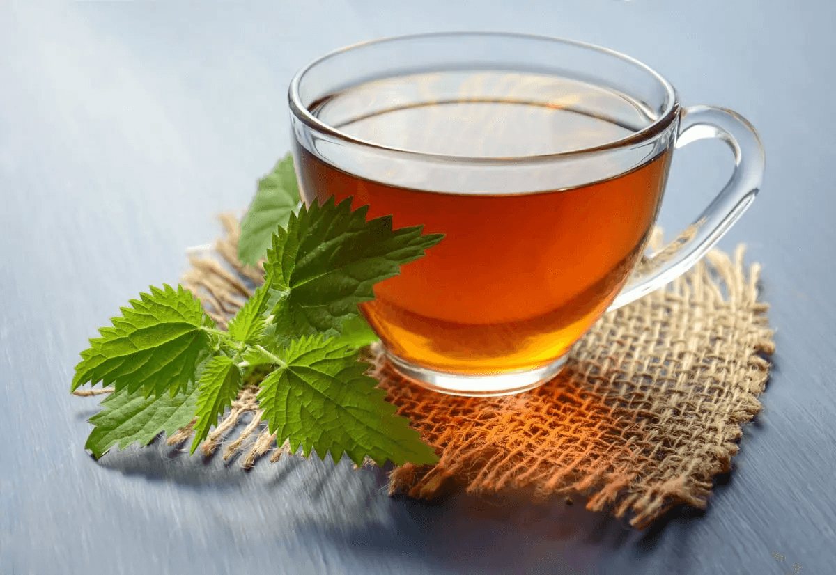 Dilmah Dilmah Green Tea with Cinnamon – 20 Tea Bags | Premium Ceylon Green Tea daily essentials & lifestyle — thumbnail 5 of 6