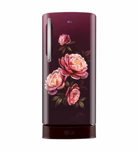 LG - 190 Liter Single Door Refrigerator - GLD205AWGB.AWGQ