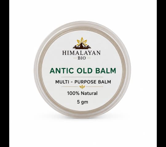 Himalayan Bio Himalayan Bio Antic Old Balm 5g | Fast Pain Relief Herbal Balm daily essentials & lifestyle