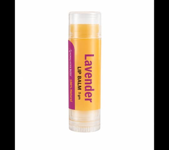 Himalayan Bio Himalayan Boi Lip Balm 5gm | Natural Moisturizing Lip Care daily essentials & lifestyle