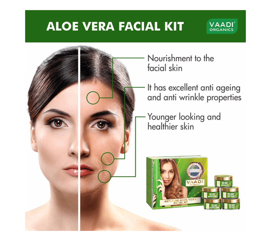 Vaadi Organics Vaadi Organics - Anti-Acne Aloe Vera Facial Kit with Green Tea Extract (270 gms) - VH0079 daily essentials &…