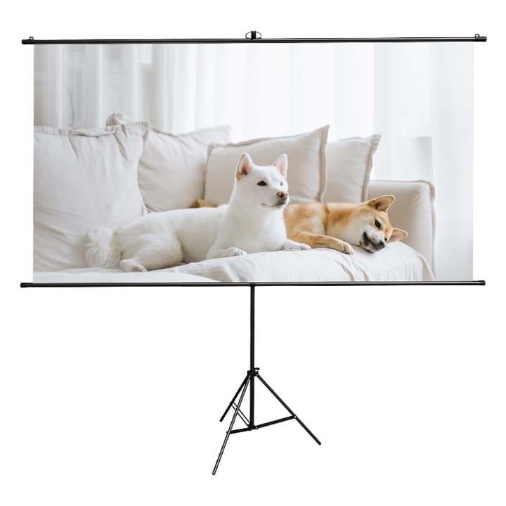 Deli ES903 100 Inch Bracket Projector Screen