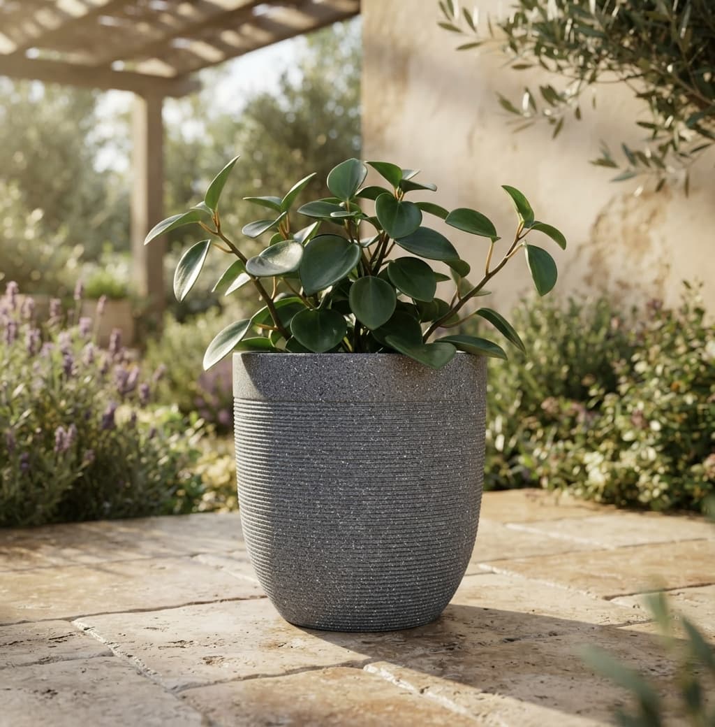 Harshdeep 12 Inch Roto Moulded Plant Pot for Home Decor (Indoor/Outdoor)