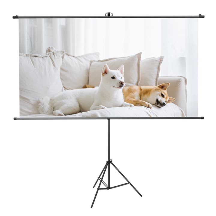 Deli ES902 84 Inch Bracket Projector Screen