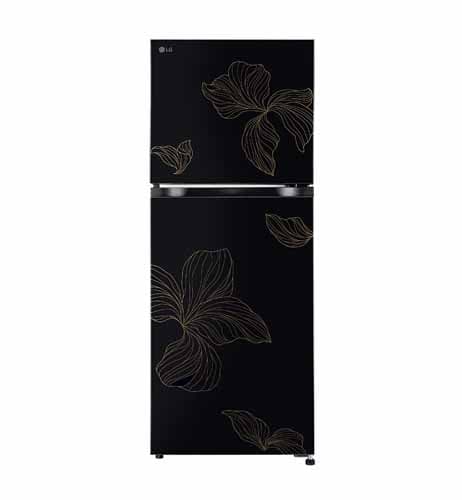 LG - 238 Liter Double Door Refrigerator - GLM250BROI.AROQ