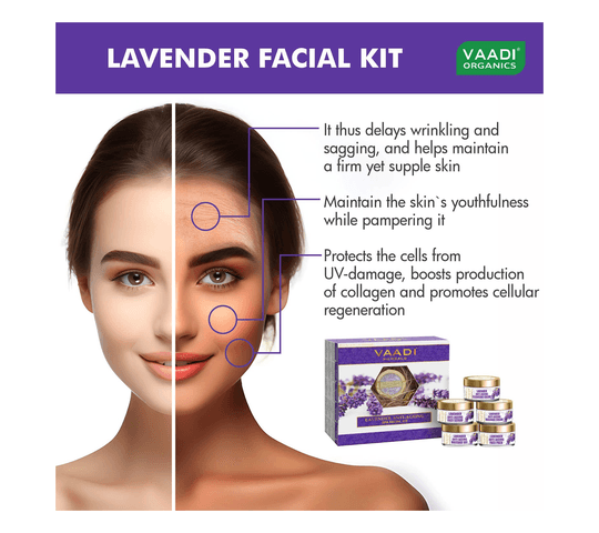 Vaadi Organics Vaadi Organics - Lavender Anti-Ageing SPA Facial Kit with Rosemary Extract (270 gms) - VH0153 daily…
