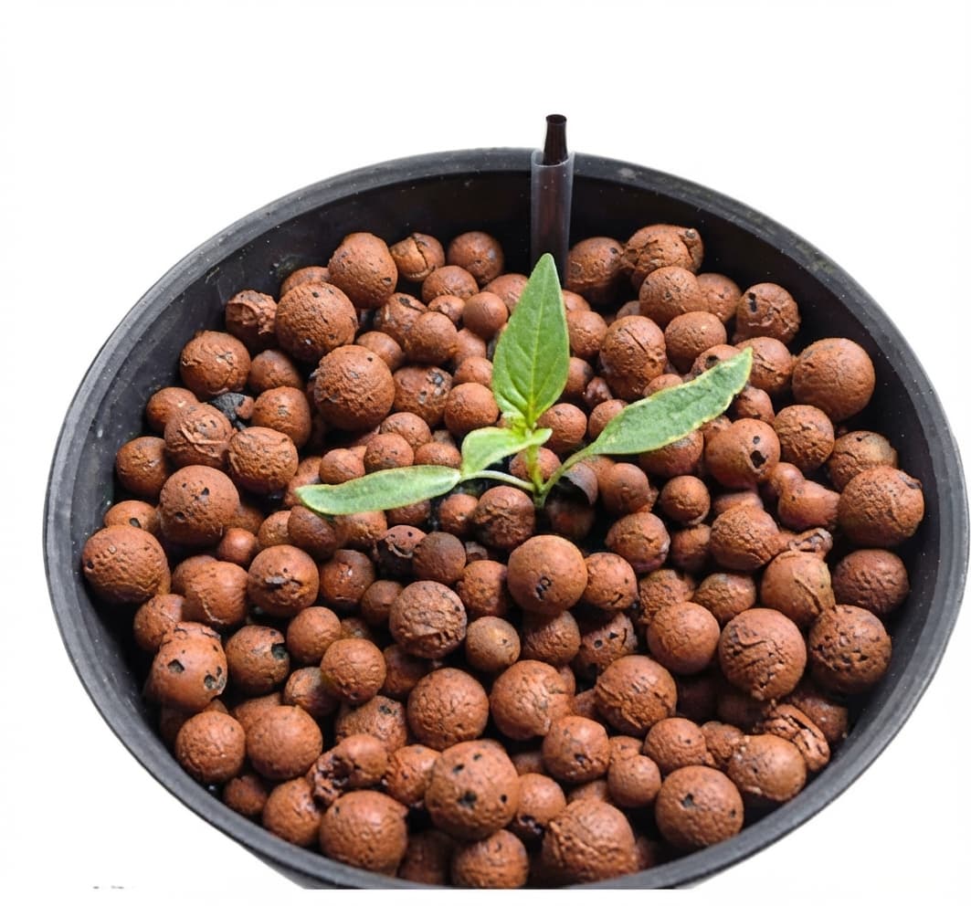 1 Kg Leca Clay Pebbles for Plants, Expanded Leca Balls (4-16mm)